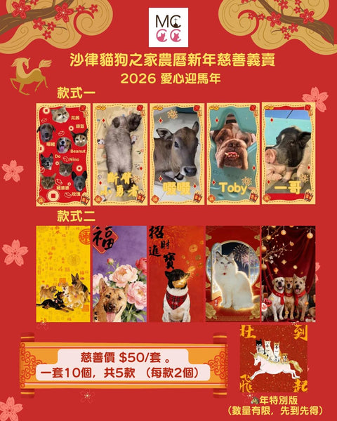 沙律貓狗之家 MCCC 的利是封義賣活動