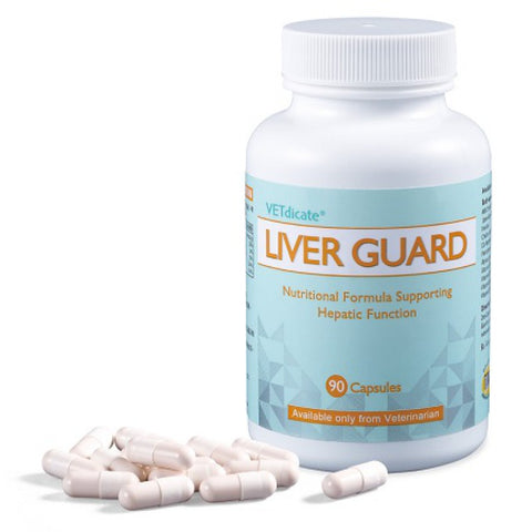 Liver Guard 肝寶 90粒