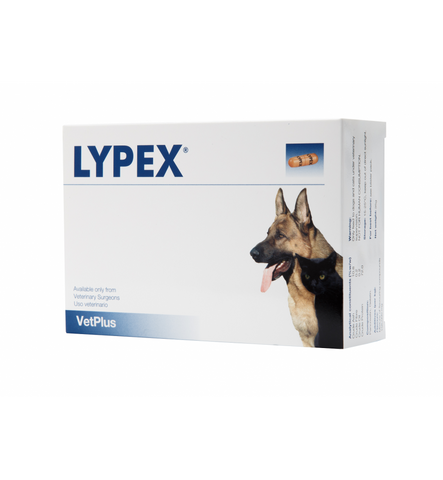 Vetplus Lypex® 貓犬適用多酶素 60粒膠囊